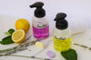 Foaming Hand Soap Duo Kit